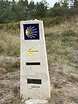IMG_4438
