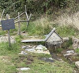 IMG_4428