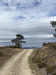 IMG_4421
