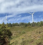 IMG_4401