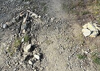 IMG_4395