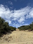 IMG_4393