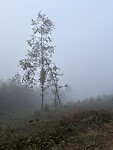 IMG_4353