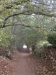 IMG_4368