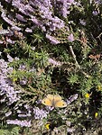 IMG_4400
