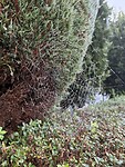 IMG_4360