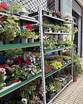 IMG_4512