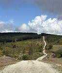 IMG_4494
