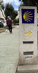 IMG_4566