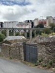 IMG_4558