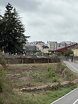 IMG_4556