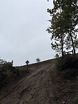 IMG_4517