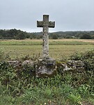 IMG_4539
