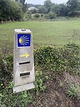 IMG_4531