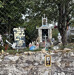 IMG_4661