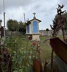 IMG_4659