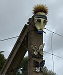 IMG_4647