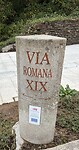 IMG_4630