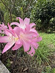 IMG_4838