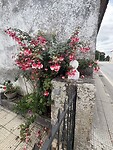IMG_4837
