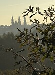 IMG_5240