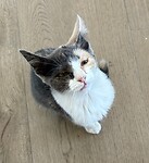 IMG_5353