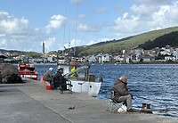 IMG_5505