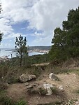 IMG_5488