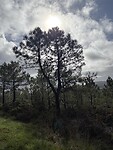 IMG_5484