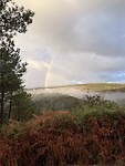IMG_5441