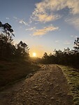 IMG_5440