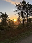 IMG_5433