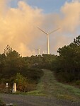 IMG_5435