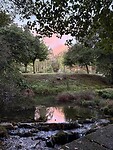IMG_5421