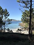 IMG_5560