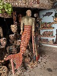 IMG_5548