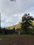 IMG_5531