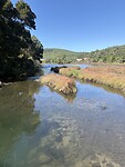 IMG_5678