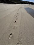 IMG_5672