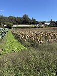 IMG_5664