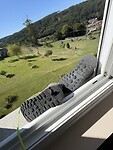 IMG_5663