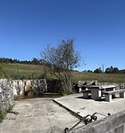 IMG_5656