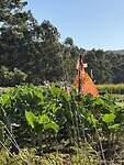 IMG_5643