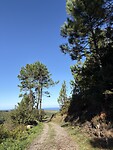 IMG_5644