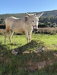IMG_5639