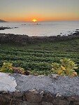 IMG_5754