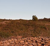 IMG_5750