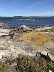IMG_5717