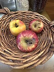 IMG_5685