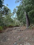 IMG_5691